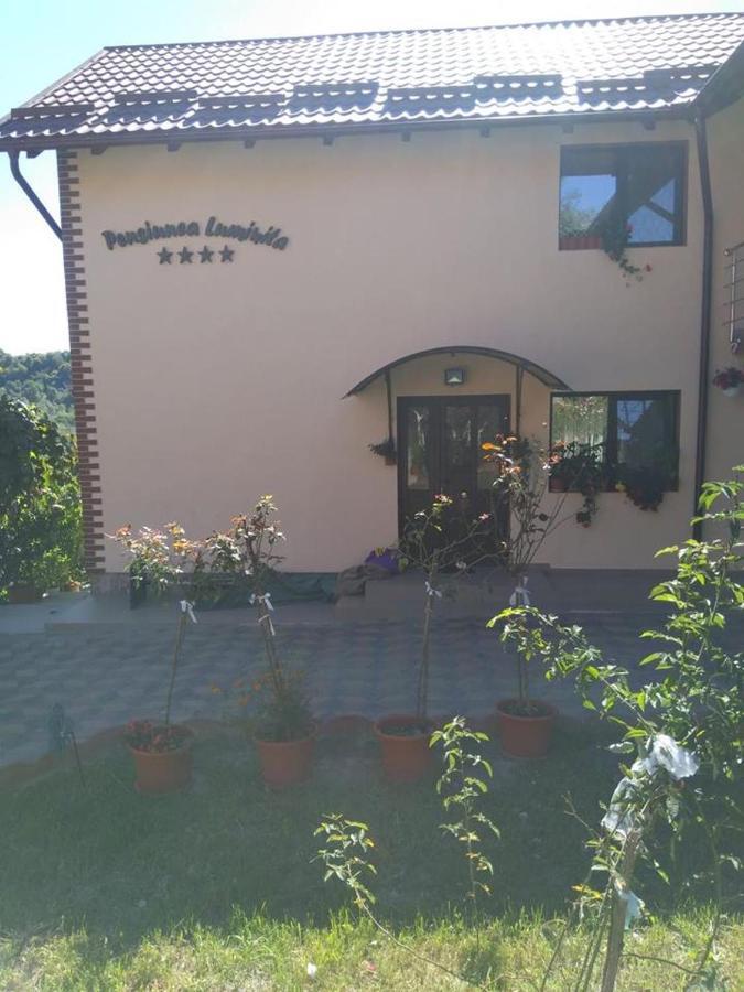Pensiunea Luminita Mustatesti Esterno foto