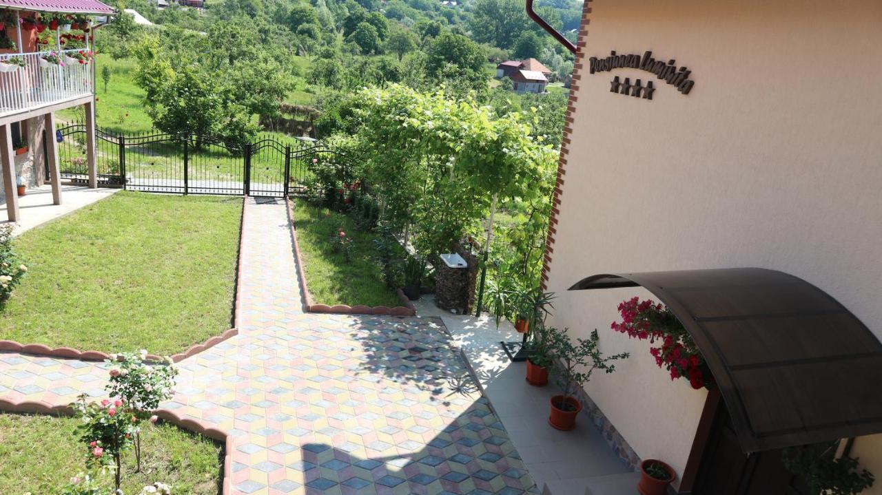 Pensiunea Luminita Mustatesti Esterno foto