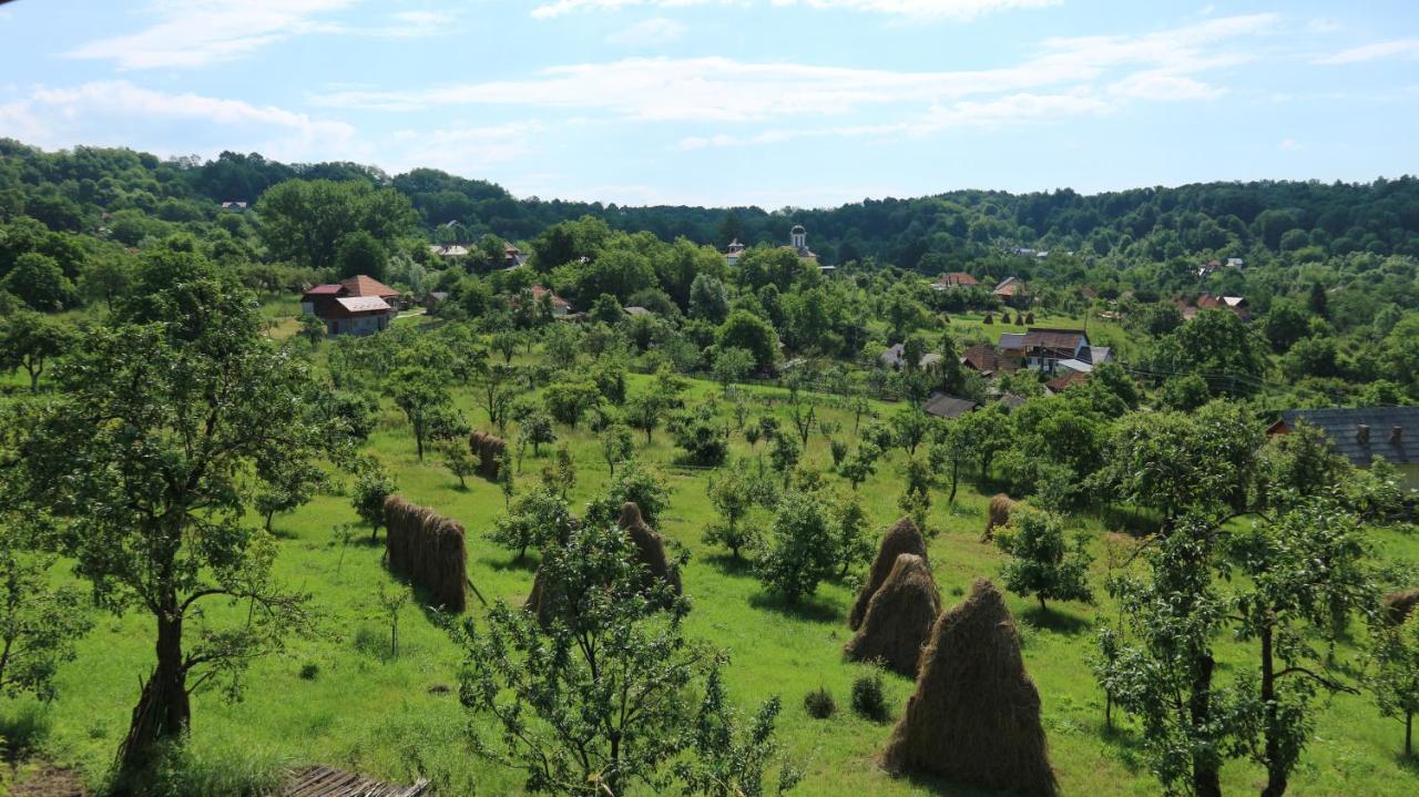 Pensiunea Luminita Mustatesti Esterno foto
