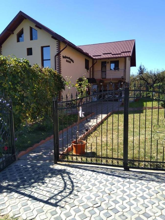 Pensiunea Luminita Mustatesti Esterno foto