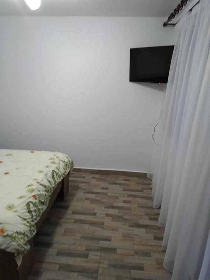 Pensiunea Luminita Mustatesti Esterno foto