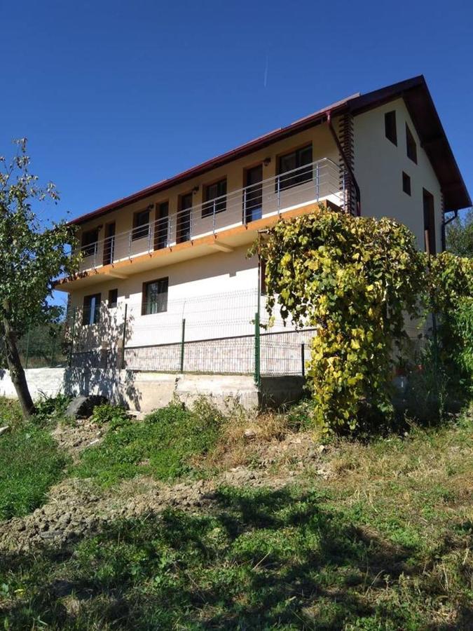 Pensiunea Luminita Mustatesti Esterno foto